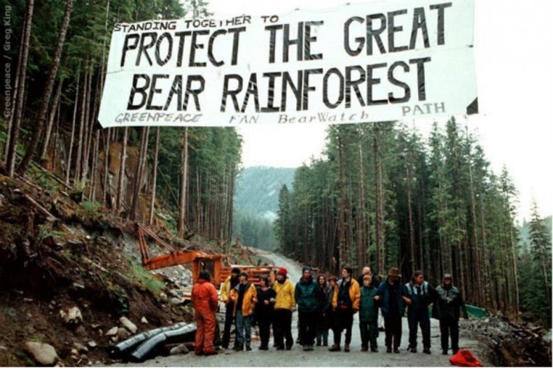 „Great Bear”-ის ტყე – საზოგადოებისა და არასამთავრობო ორგანიზაციების თანამშრომლობის წარმატებული მაგალითი