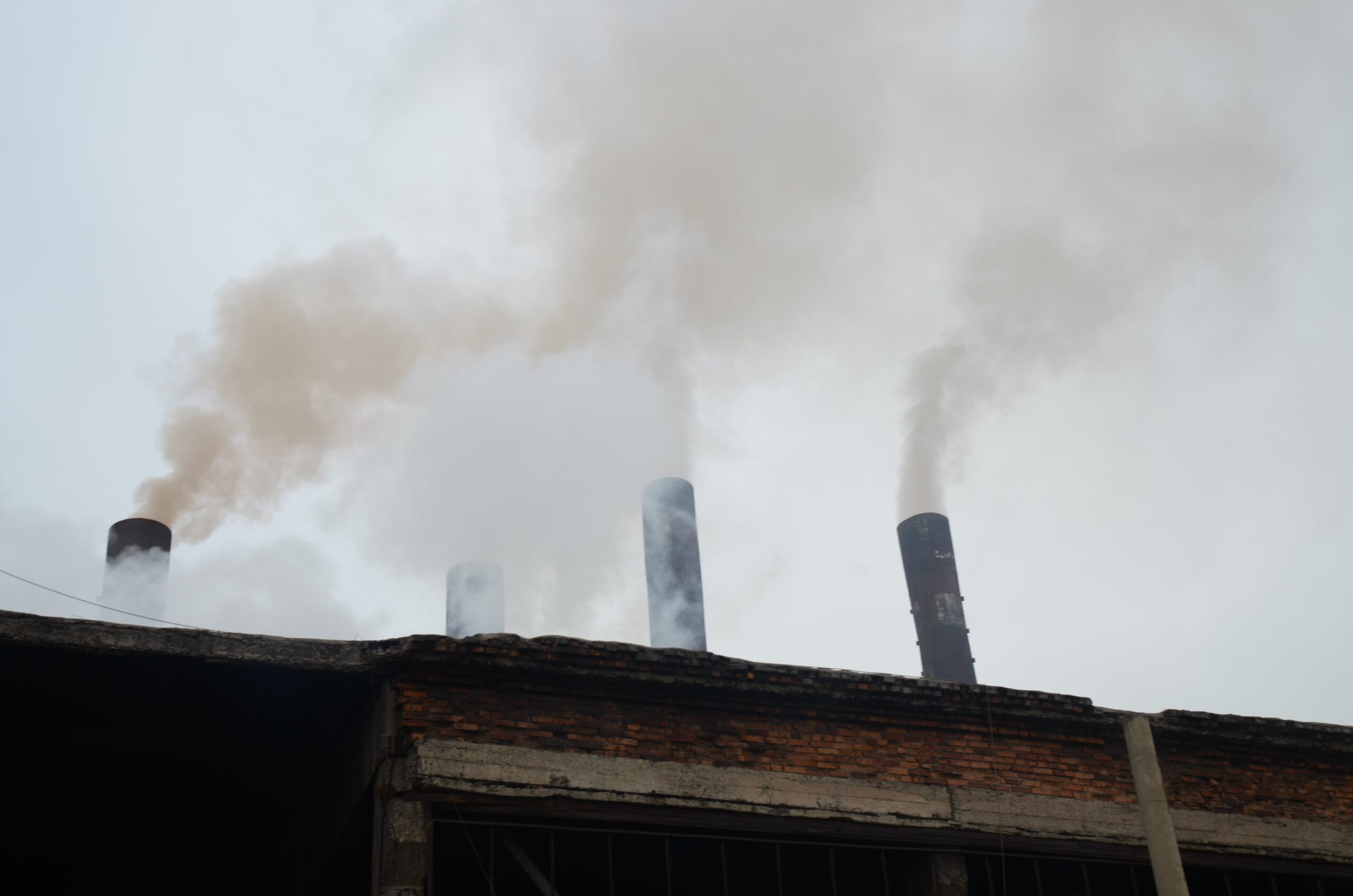 „გავიგუდეთ“ შპს „რუსელოისში“ იმყოფებოდა